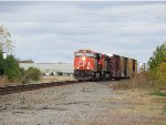 CN 2231 and CN 8003